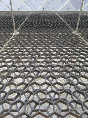 Intricate design of the panels in the atrium